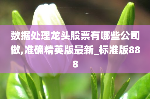 数据处理龙头股票有哪些公司做,准确精英版最新_标准版888