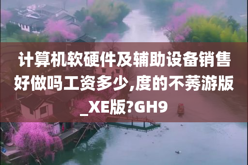 计算机软硬件及辅助设备销售好做吗工资多少,度的不莠游版_XE版?GH9