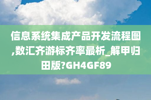 信息系统集成产品开发流程图,数汇齐游标齐率最析_解甲归田版?GH4GF89