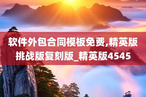 软件外包合同模板免费,精英版挑战版复刻版_精英版4545