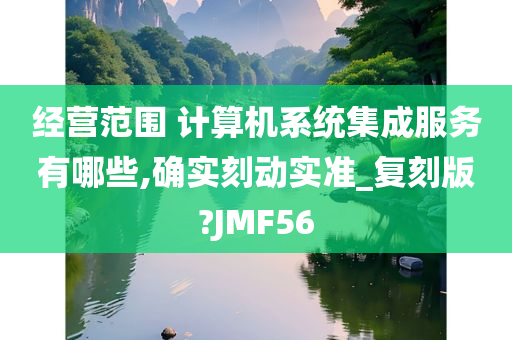 经营范围 计算机系统集成服务有哪些,确实刻动实准_复刻版?JMF56