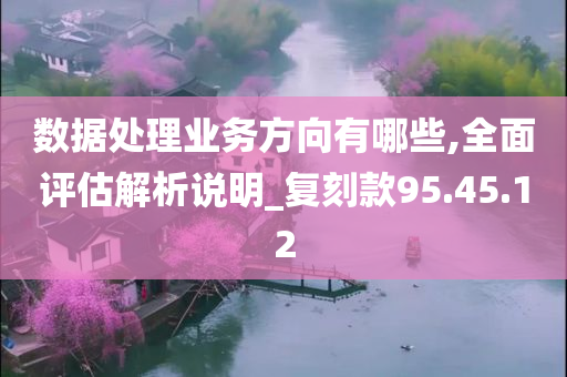 数据处理业务方向有哪些,全面评估解析说明_复刻款95.45.12