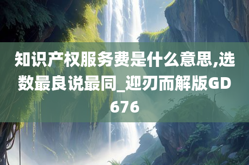 知识产权服务费是什么意思,选数最良说最同_迎刃而解版GD676