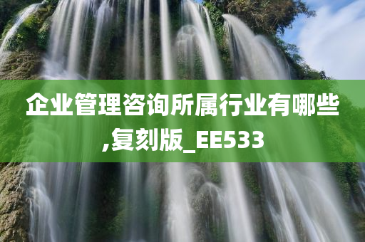 企业管理咨询所属行业有哪些,复刻版_EE533