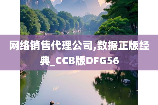 网络销售代理公司,数据正版经典_CCB版DFG56