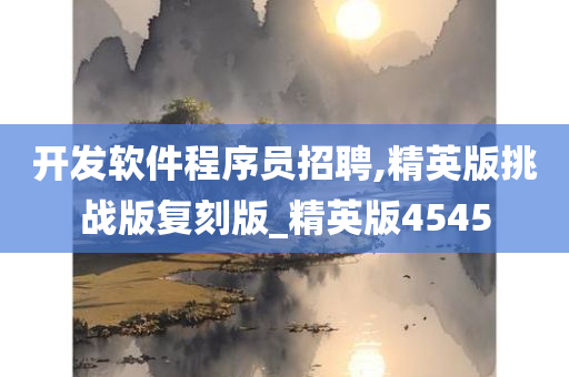 开发软件程序员招聘,精英版挑战版复刻版_精英版4545