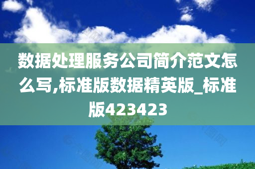 数据处理服务公司简介范文怎么写,标准版数据精英版_标准版423423