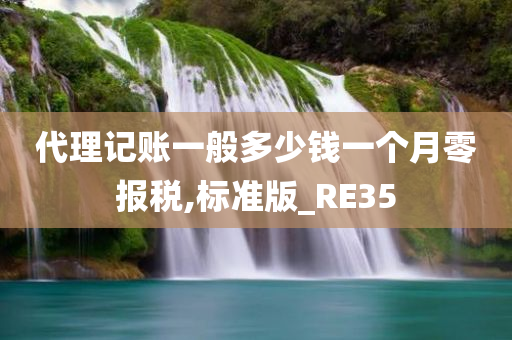 代理记账一般多少钱一个月零报税,标准版_RE35