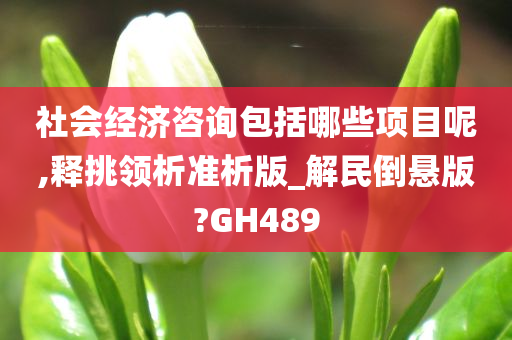 社会经济咨询包括哪些项目呢,释挑领析准析版_解民倒悬版?GH489