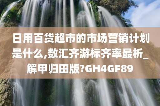 日用百货超市的市场营销计划是什么,数汇齐游标齐率最析_解甲归田版?GH4GF89