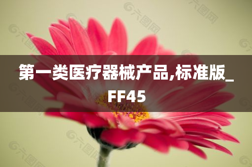 第一类医疗器械产品,标准版_FF45