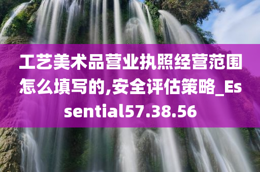 工艺美术品营业执照经营范围怎么填写的,安全评估策略_Essential57.38.56