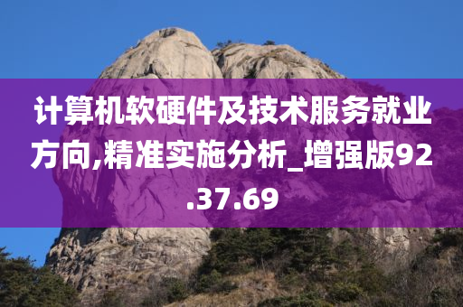 计算机软硬件及技术服务就业方向,精准实施分析_增强版92.37.69