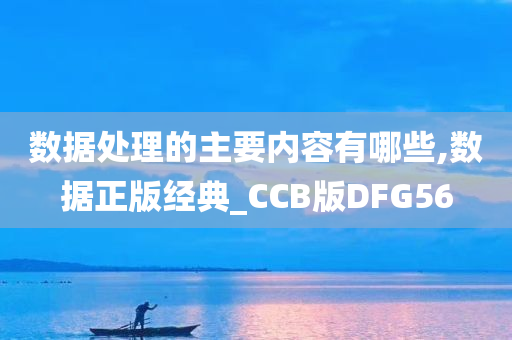 数据处理的主要内容有哪些,数据正版经典_CCB版DFG56