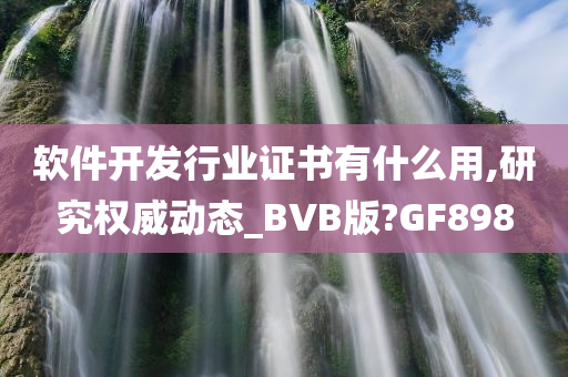 软件开发行业证书有什么用,研究权威动态_BVB版?GF898