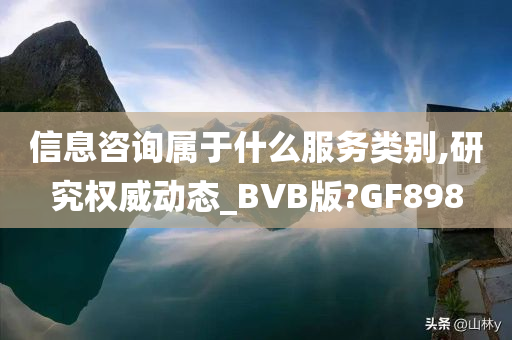 信息咨询属于什么服务类别,研究权威动态_BVB版?GF898