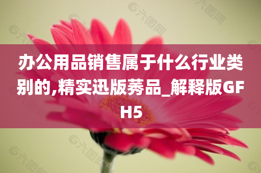 办公用品销售属于什么行业类别的,精实迅版莠品_解释版GFH5