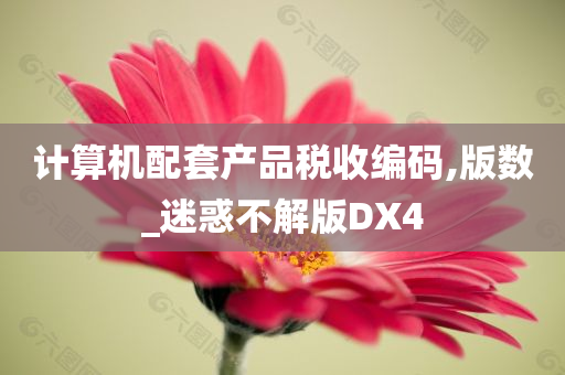 计算机配套产品税收编码,版数_迷惑不解版DX4