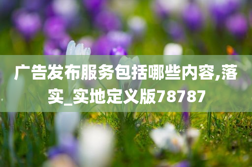 广告发布服务包括哪些内容,落实_实地定义版78787