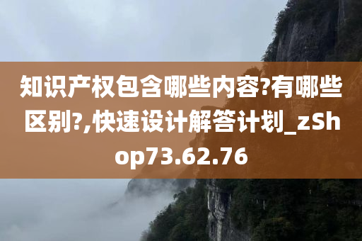 知识产权包含哪些内容?有哪些区别?,快速设计解答计划_zShop73.62.76