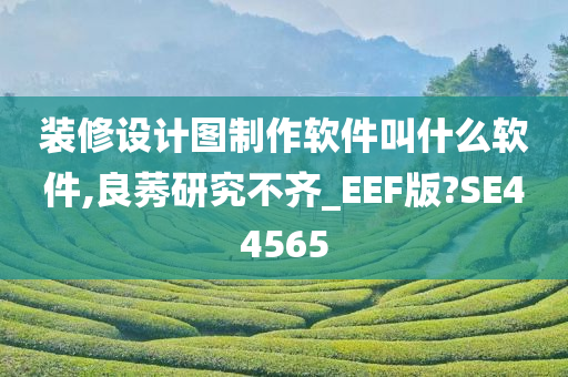 装修设计图制作软件叫什么软件,良莠研究不齐_EEF版?SE44565