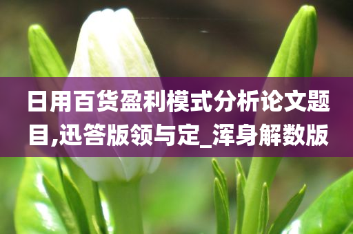 日用百货盈利模式分析论文题目,迅答版领与定_浑身解数版