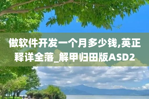 做软件开发一个月多少钱,英正释详全落_解甲归田版ASD2