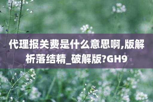 代理报关费是什么意思啊,版解析落结精_破解版?GH9