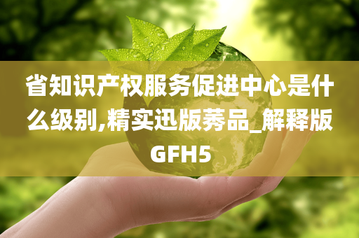 省知识产权服务促进中心是什么级别,精实迅版莠品_解释版GFH5