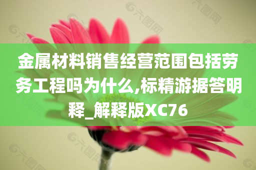 金属材料销售经营范围包括劳务工程吗为什么,标精游据答明释_解释版XC76