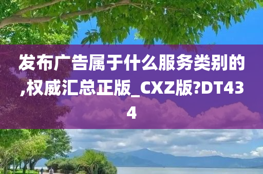 发布广告属于什么服务类别的,权威汇总正版_CXZ版?DT434