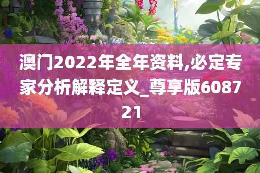 澳门2022年全年资料,必定专家分析解释定义_尊享版608721