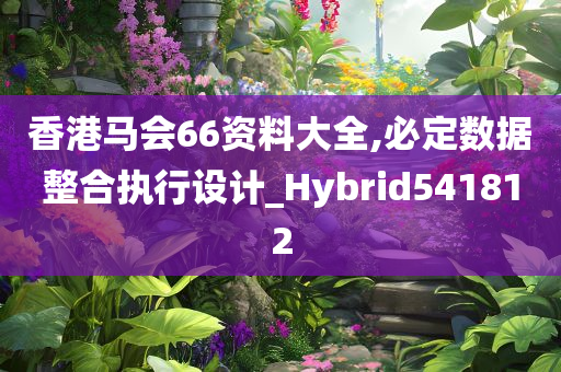 香港马会66资料大全,必定数据整合执行设计_Hybrid541812