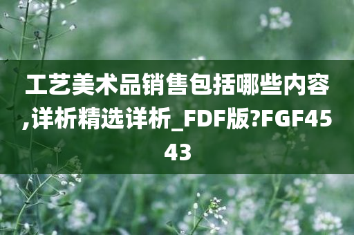 工艺美术品销售包括哪些内容,详析精选详析_FDF版?FGF4543