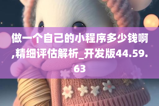 做一个自己的小程序多少钱啊,精细评估解析_开发版44.59.63