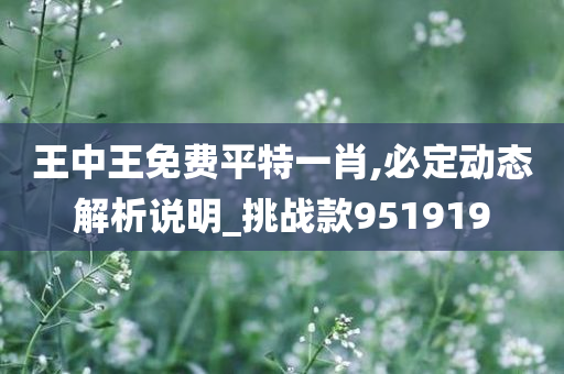 王中王免费平特一肖,必定动态解析说明_挑战款951919