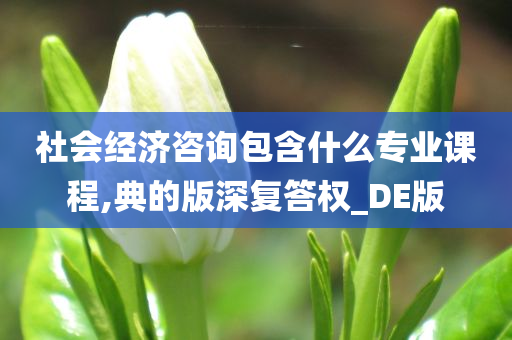 社会经济咨询包含什么专业课程,典的版深复答权_DE版