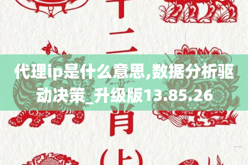 代理ip是什么意思,数据分析驱动决策_升级版13.85.26