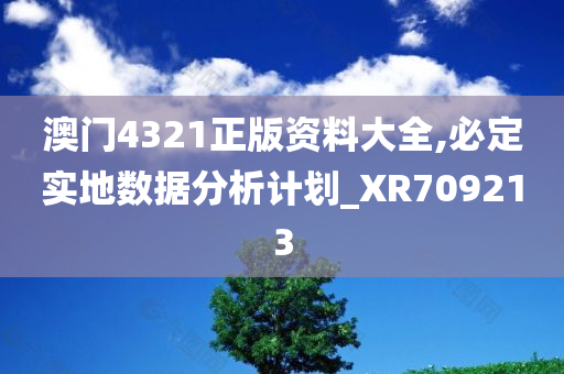 澳门4321正版资料大全,必定实地数据分析计划_XR709213