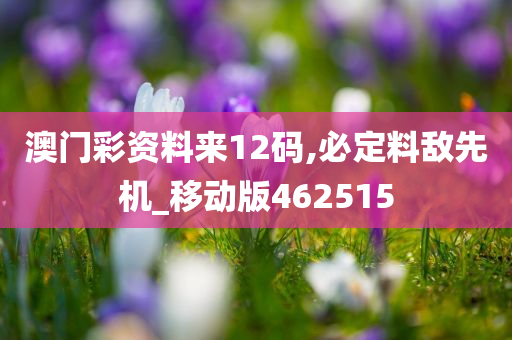 澳门彩资料来12码,必定料敌先机_移动版462515