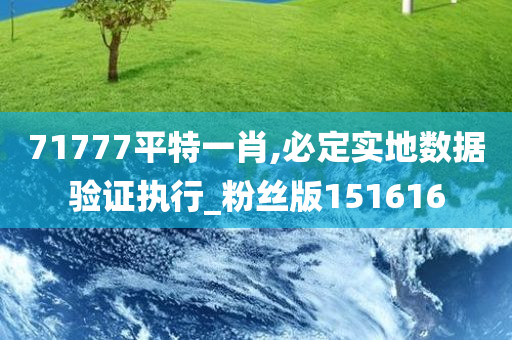 71777平特一肖,必定实地数据验证执行_粉丝版151616