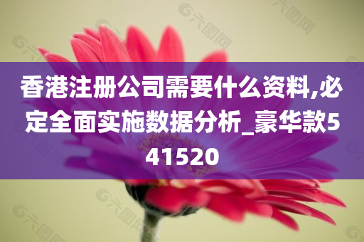 香港注册公司需要什么资料,必定全面实施数据分析_豪华款541520