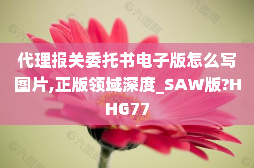 代理报关委托书电子版怎么写图片,正版领域深度_SAW版?HHG77