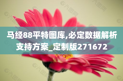 马经88平特图库,必定数据解析支持方案_定制版271672