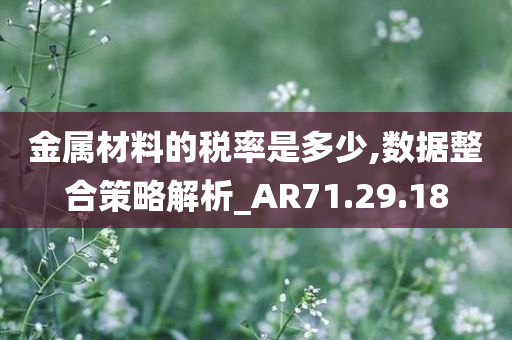 金属材料的税率是多少,数据整合策略解析_AR71.29.18