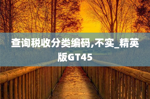 查询税收分类编码,不实_精英版GT45