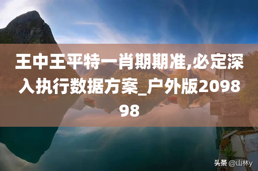 王中王平特一肖期期准,必定深入执行数据方案_户外版209898