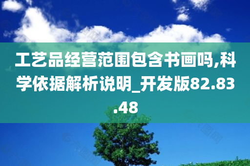 工艺品经营范围包含书画吗,科学依据解析说明_开发版82.83.48