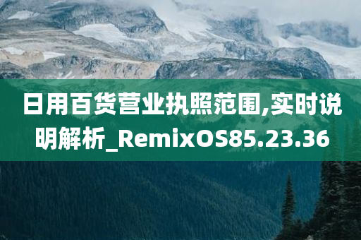 日用百货营业执照范围,实时说明解析_RemixOS85.23.36