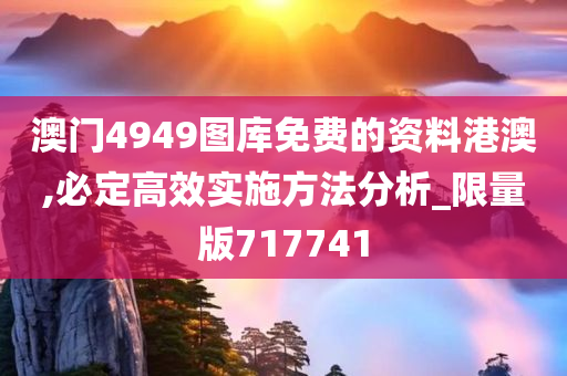 澳门4949图库免费的资料港澳,必定高效实施方法分析_限量版717741